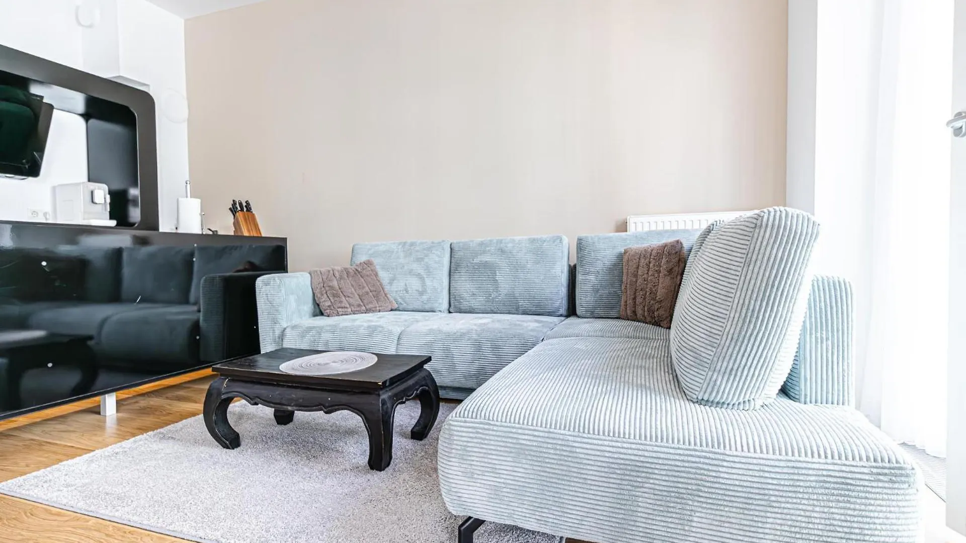 Modern 1Br & 1Lr Apartment In Viennas Downtown